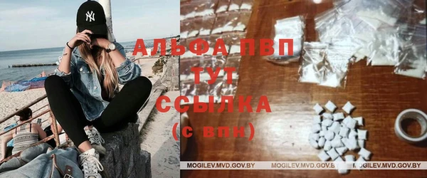 МДПВ Новозыбков