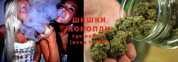 дмт Новокубанск